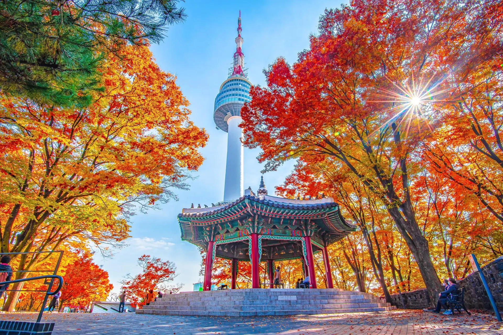 🇰🇷 Южная Корея этой осенью — это must-visit!