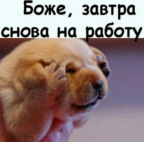 🥰 Оставляйте реакции, если понравилась открытка и делитесь с близкими ❤

Подпишитесь и Вы не сможет