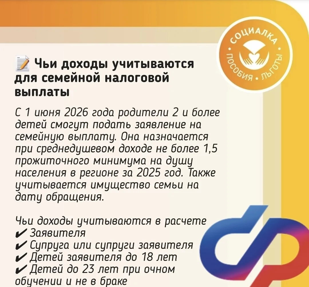 ❗️Состав семьи для новой налоговой выплаты . Чьи доходы учитываются и не учитываются при назначении 