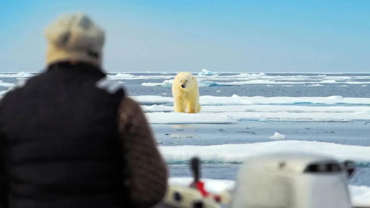 🐻‍❄ На Ямале отмечают День полярника  Губернатор Дмитрий Артюхов поздравил полярников с профессионал