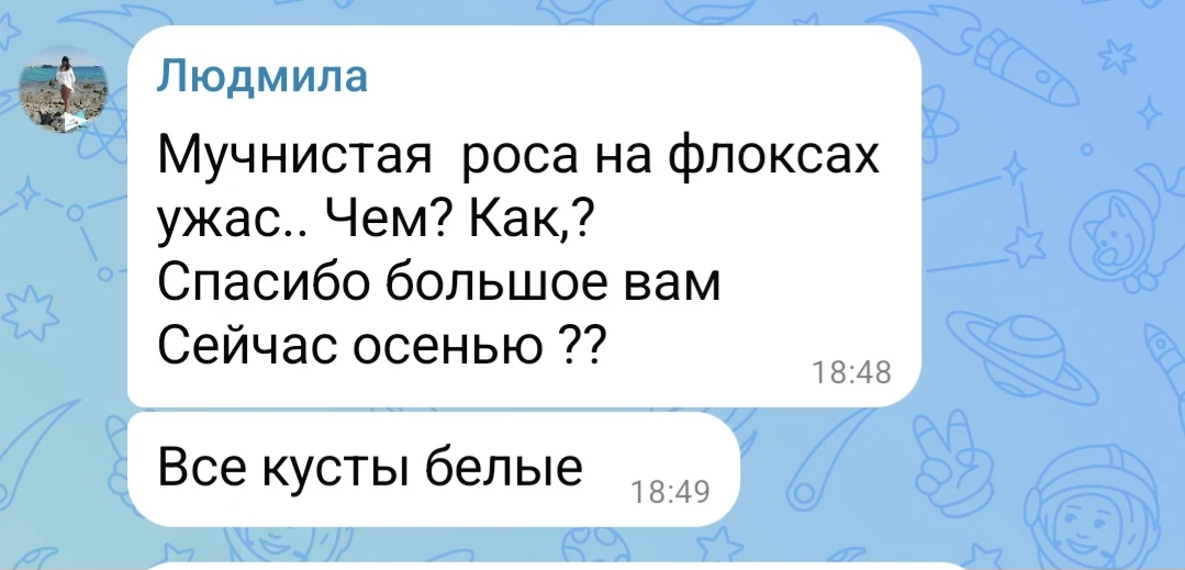 Мучнистая роса