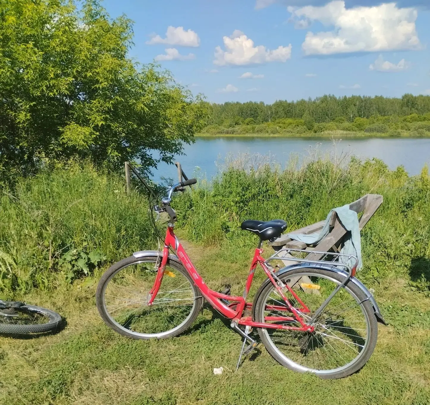 🚴 Жара, отдых у воды и… бесхозные велосипеды?

☀ В связи с установившейся аномально жаркой погодой 