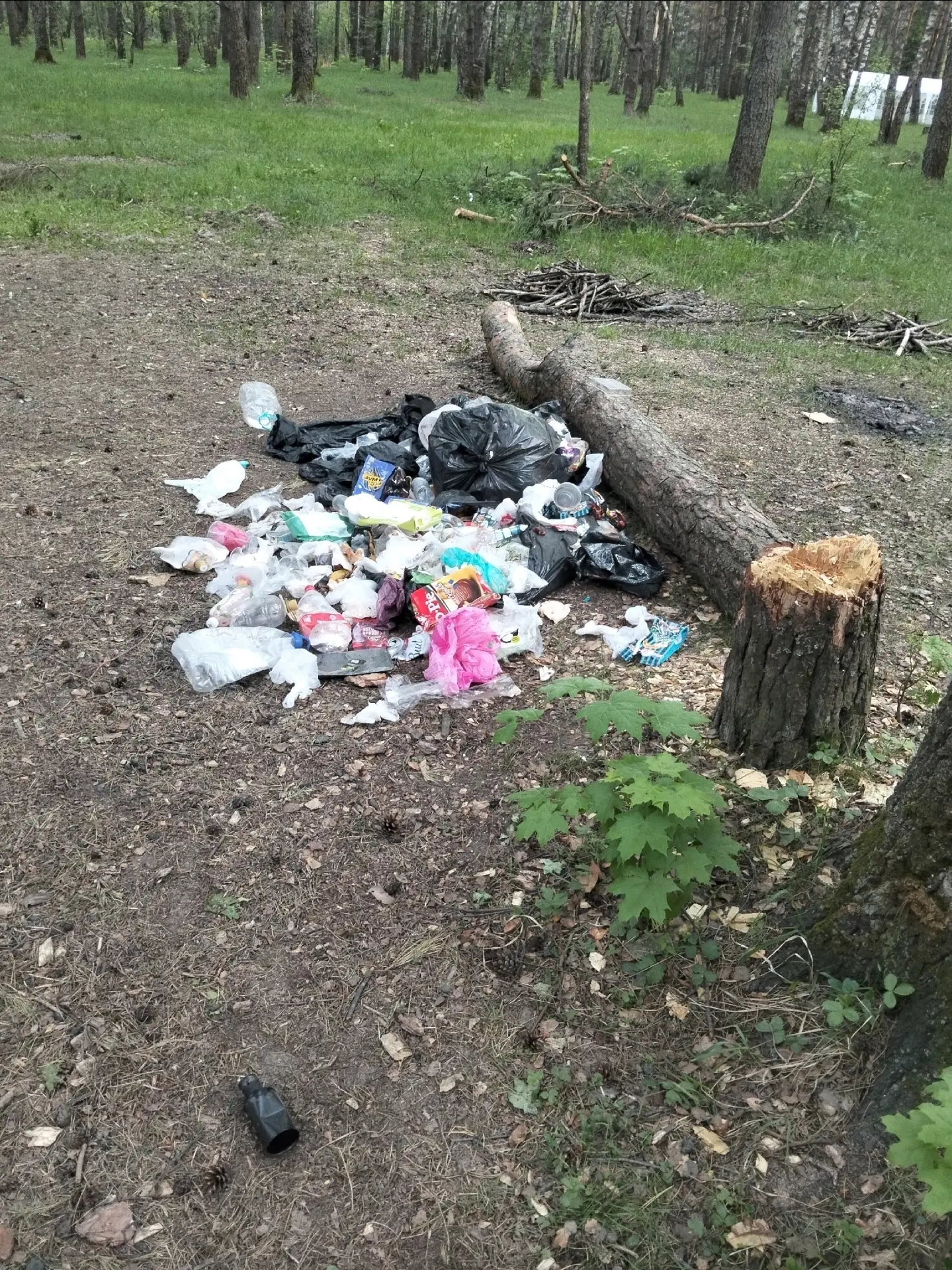 Доброго дня!  Обход нашего озера Леданово после выходных.  Отдыхающие более сознательно отнеслись на