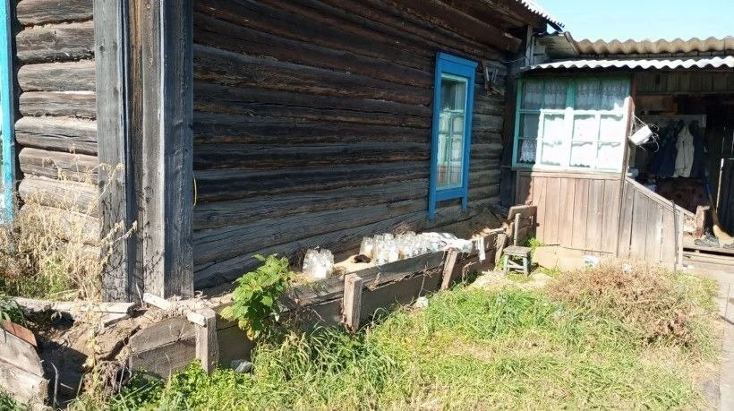Огромный медведь смотрел на людей в окно