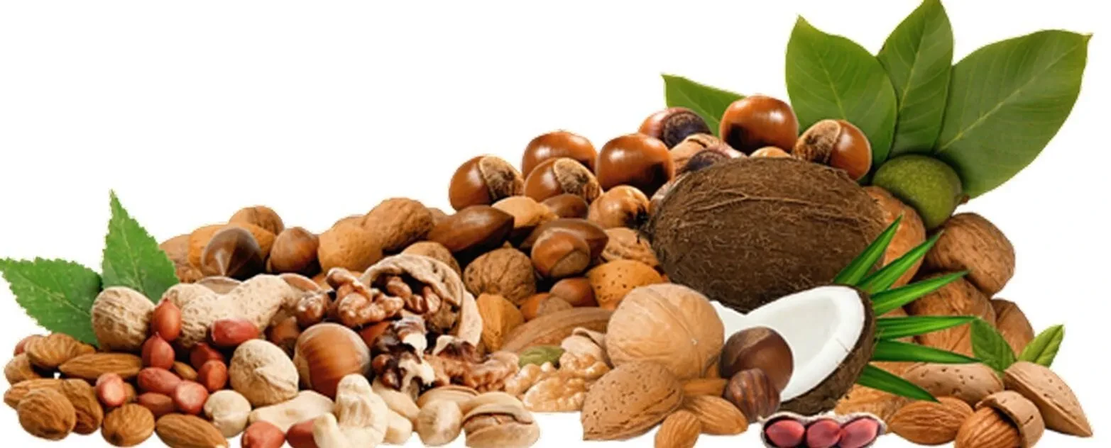 🌰 Чем полезны орехи: кладезь витаминов и энергии! 🌰