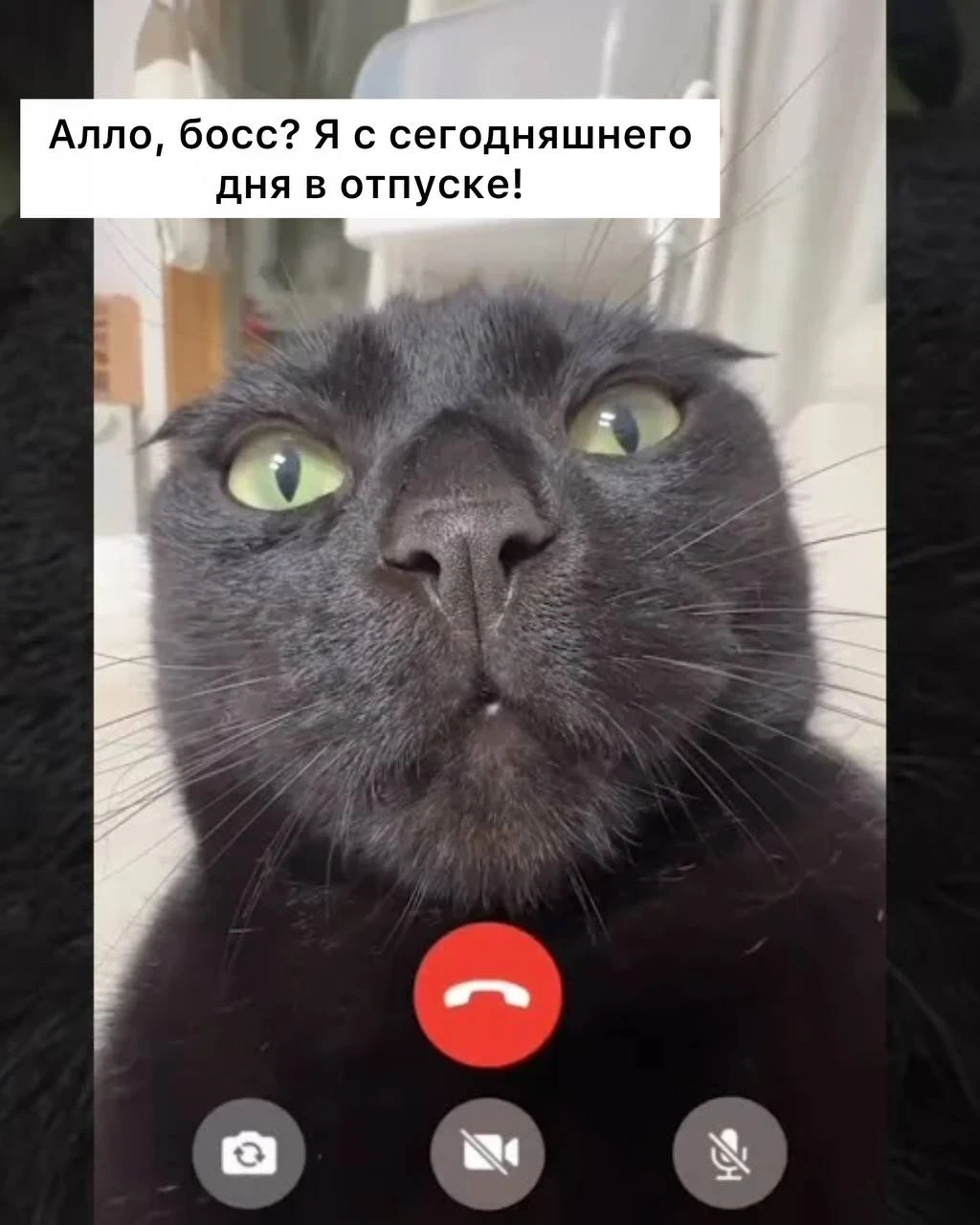 Конец света наступит уже на следующей неделе, — заявил пастор из ЮАР Джошуа Млакела