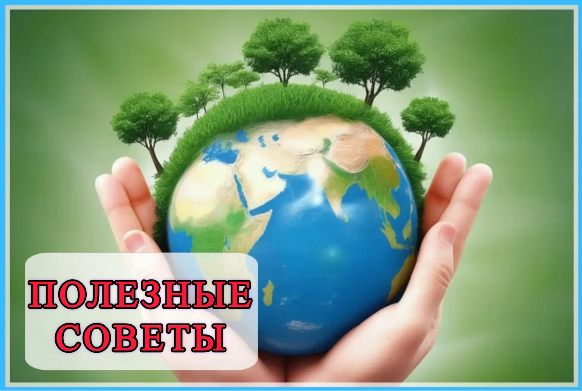 ☘️Экологичный образ жизни: большие перемены с маленьких шагов 🌍