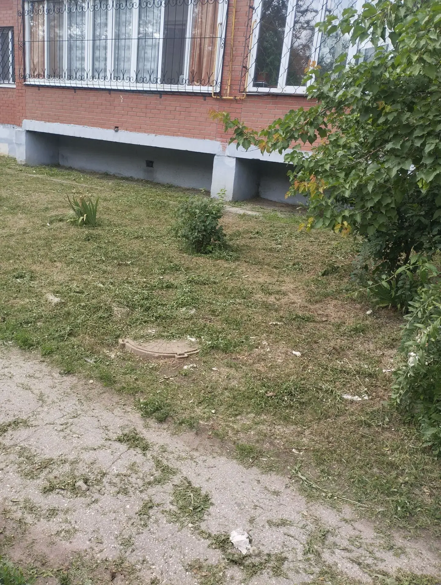 21.06.2026 Плановый покос травы по адресу: ул.Ватутина, д.20