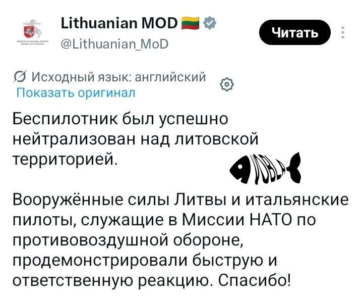 Минобороны Литвы сообщило об уничтожении неопознанного беспилотника над территорией стр...