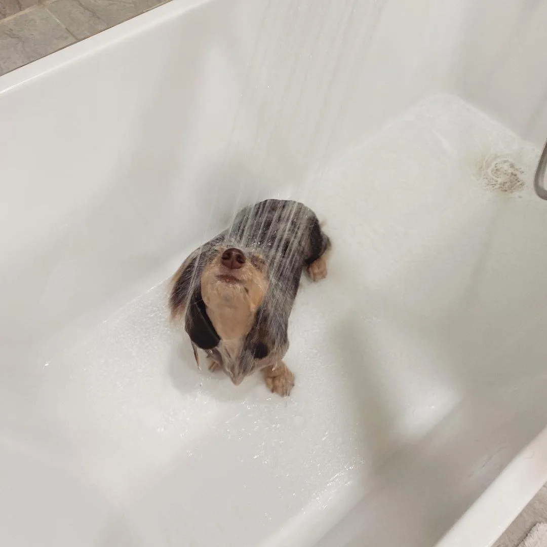 Утренний душ🚿