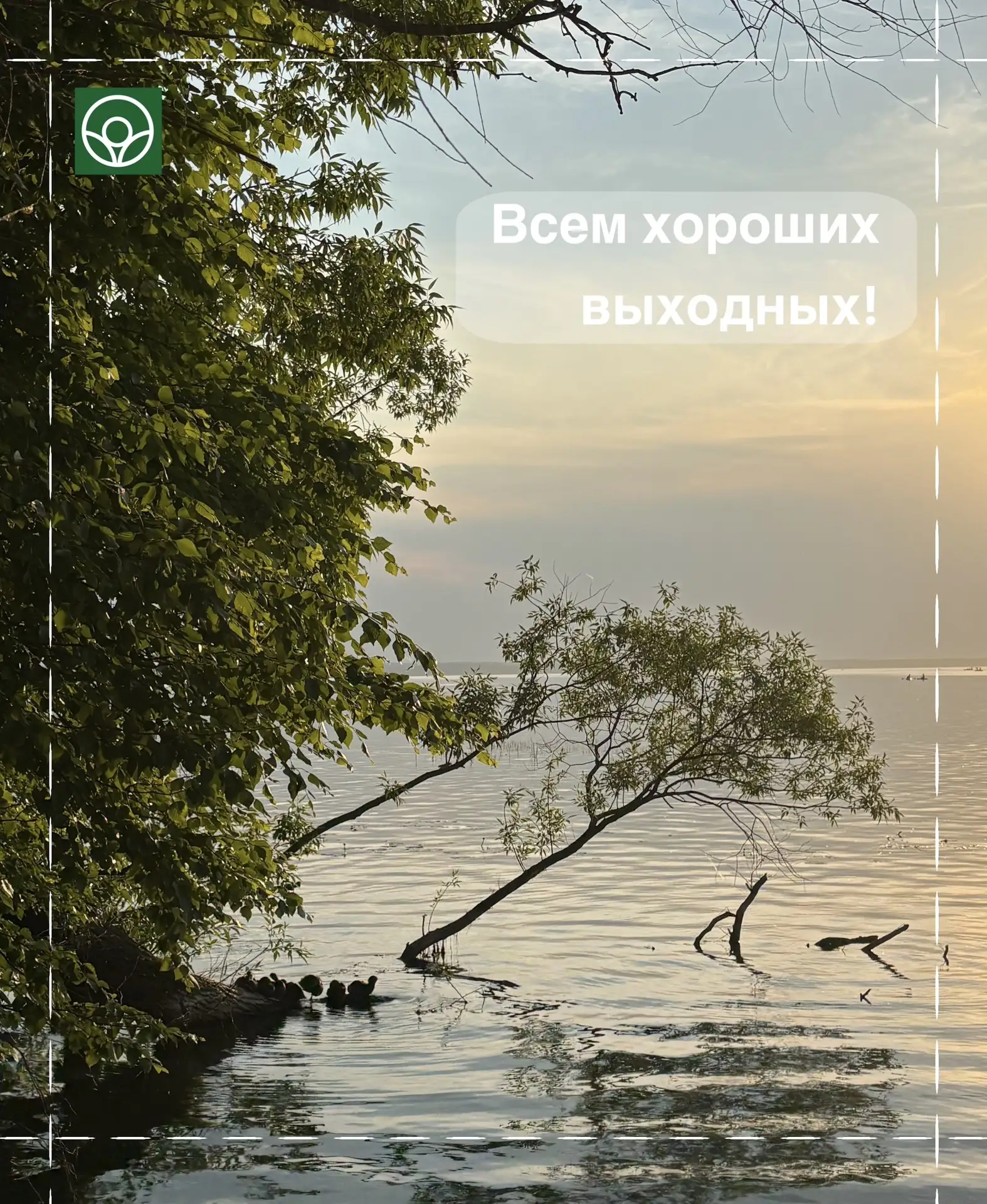 Впереди выходные! Желаем хорошего настроения!