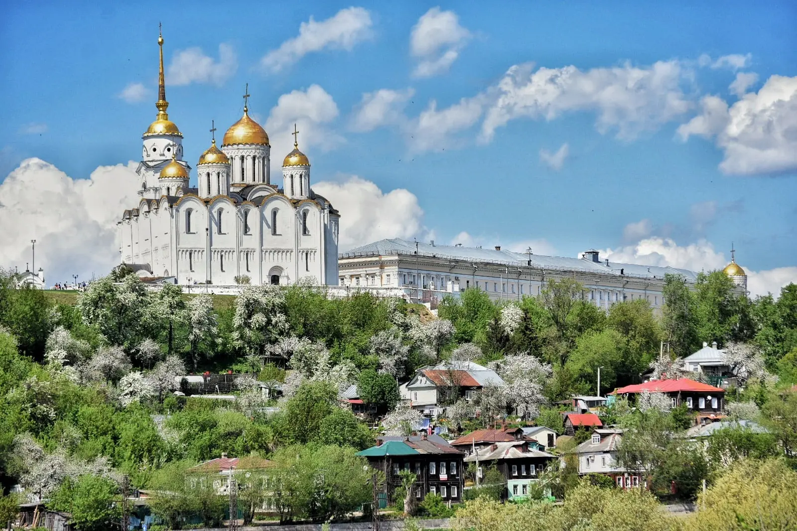 С днем рождения, Владимир!