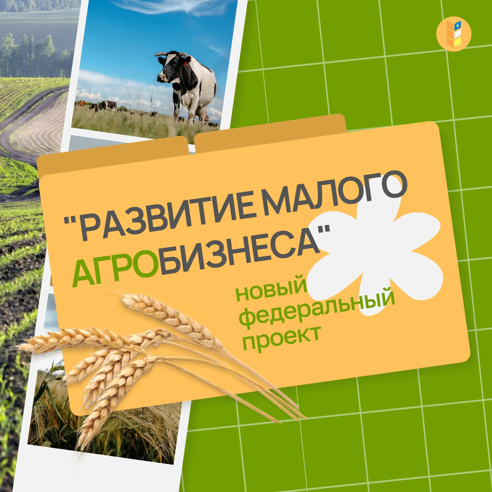 🧑🏻‍🌾 В Бурятии стартовал федеральный проект «Развитие малого агробизнеса»

С 2026 года поддержка 