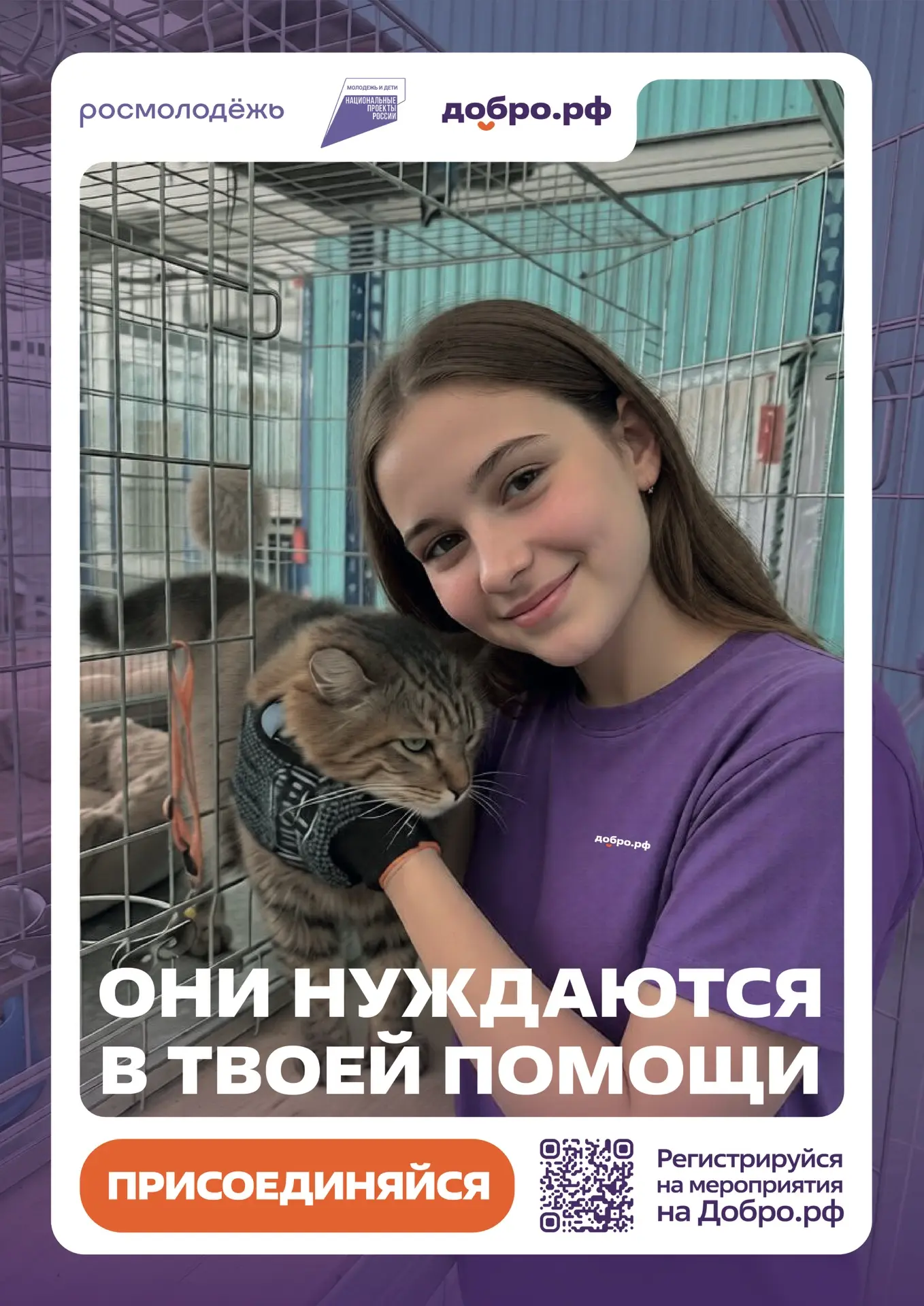 Добро.рф — это место, где люди, организации и инициативы объединяются, чтобы делать пол...