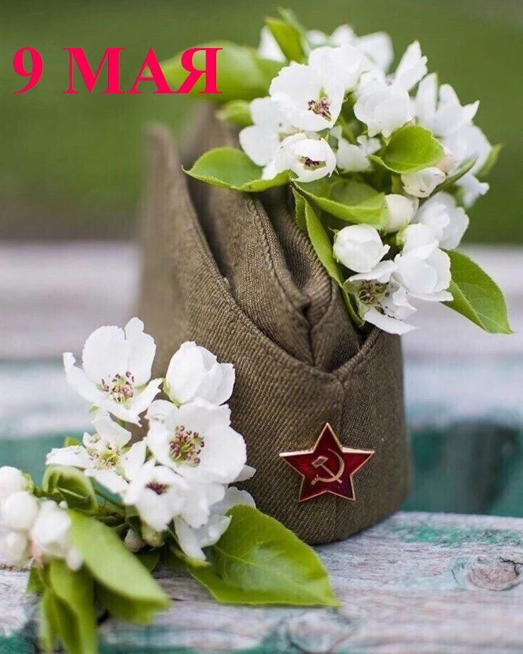 Как ласково сегодня солнце светит!