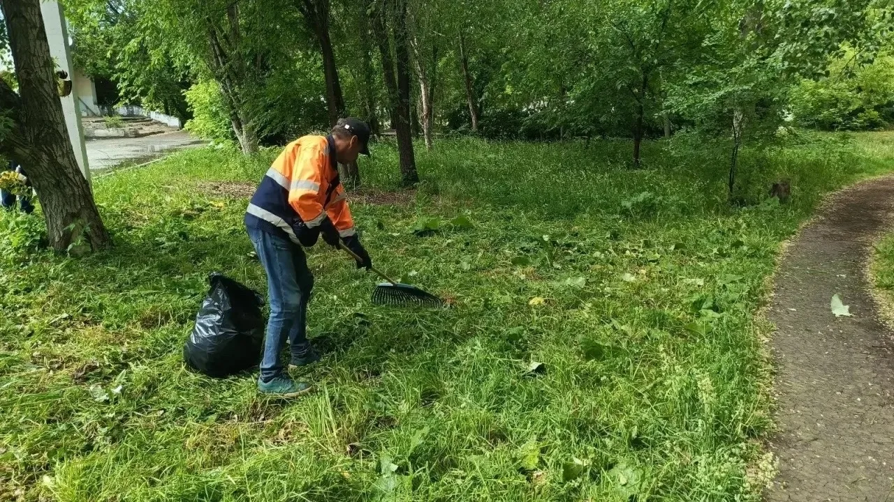 Продолжаем делиться с вами работой МБУ «САХТОБ»

🌿Рабочие занимаются покосом травы, обрезкой поросл