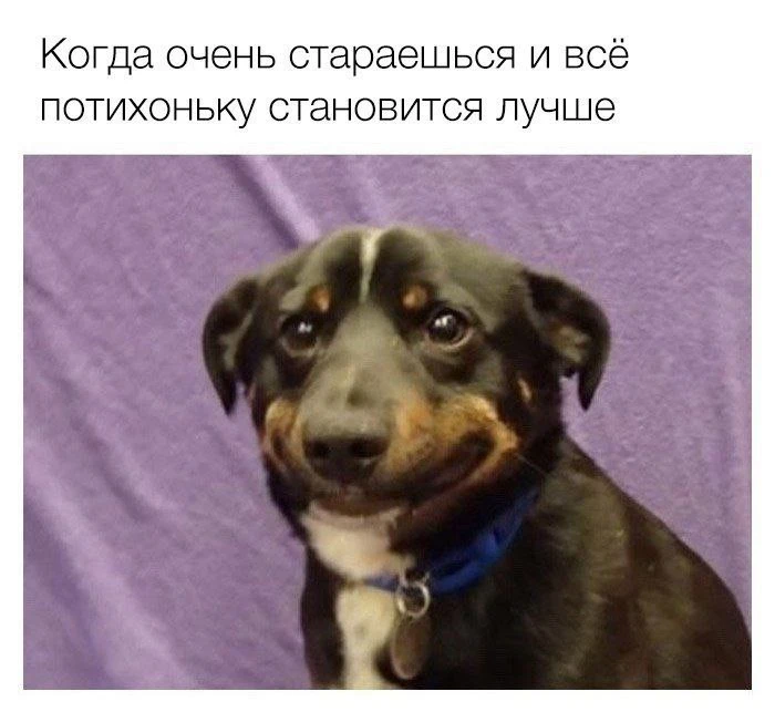 Только вперед и ни шагу назад!