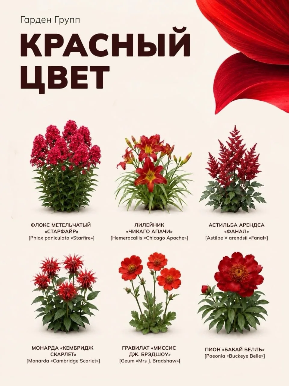 Сад в красном цвете 🌱❤️