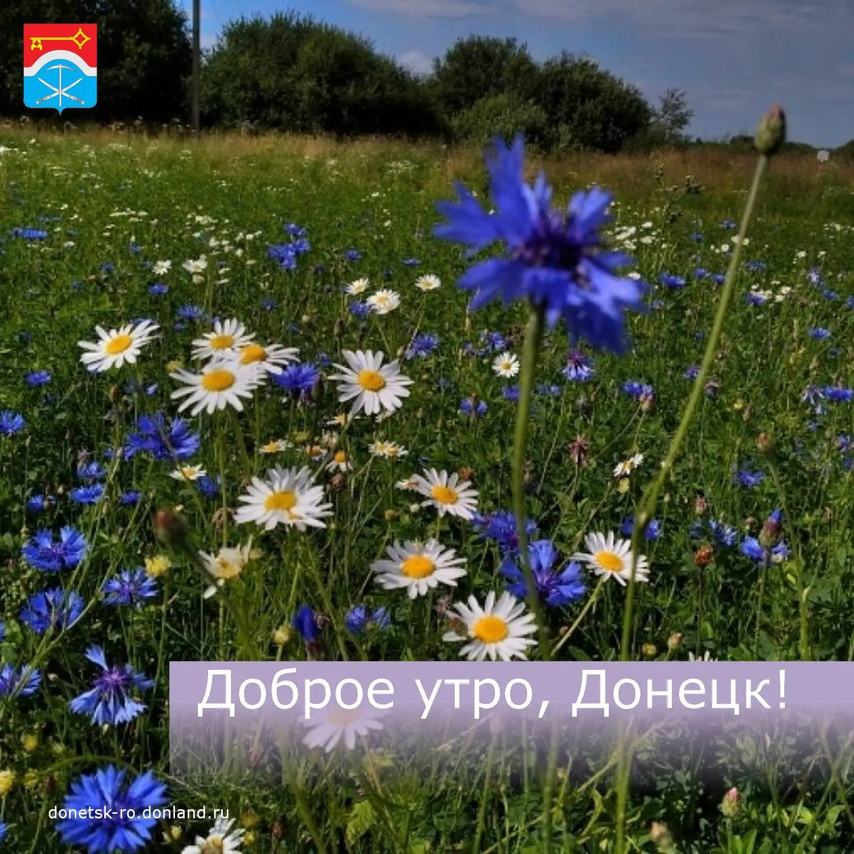 Доброе утро, дончане!