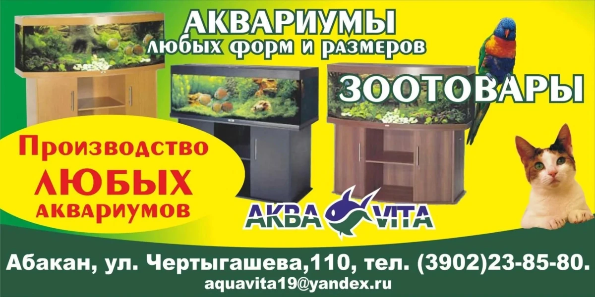 🐠✨ Добро пожаловать в мир подводной магии «Аква-ВИТА»! ✨🐢