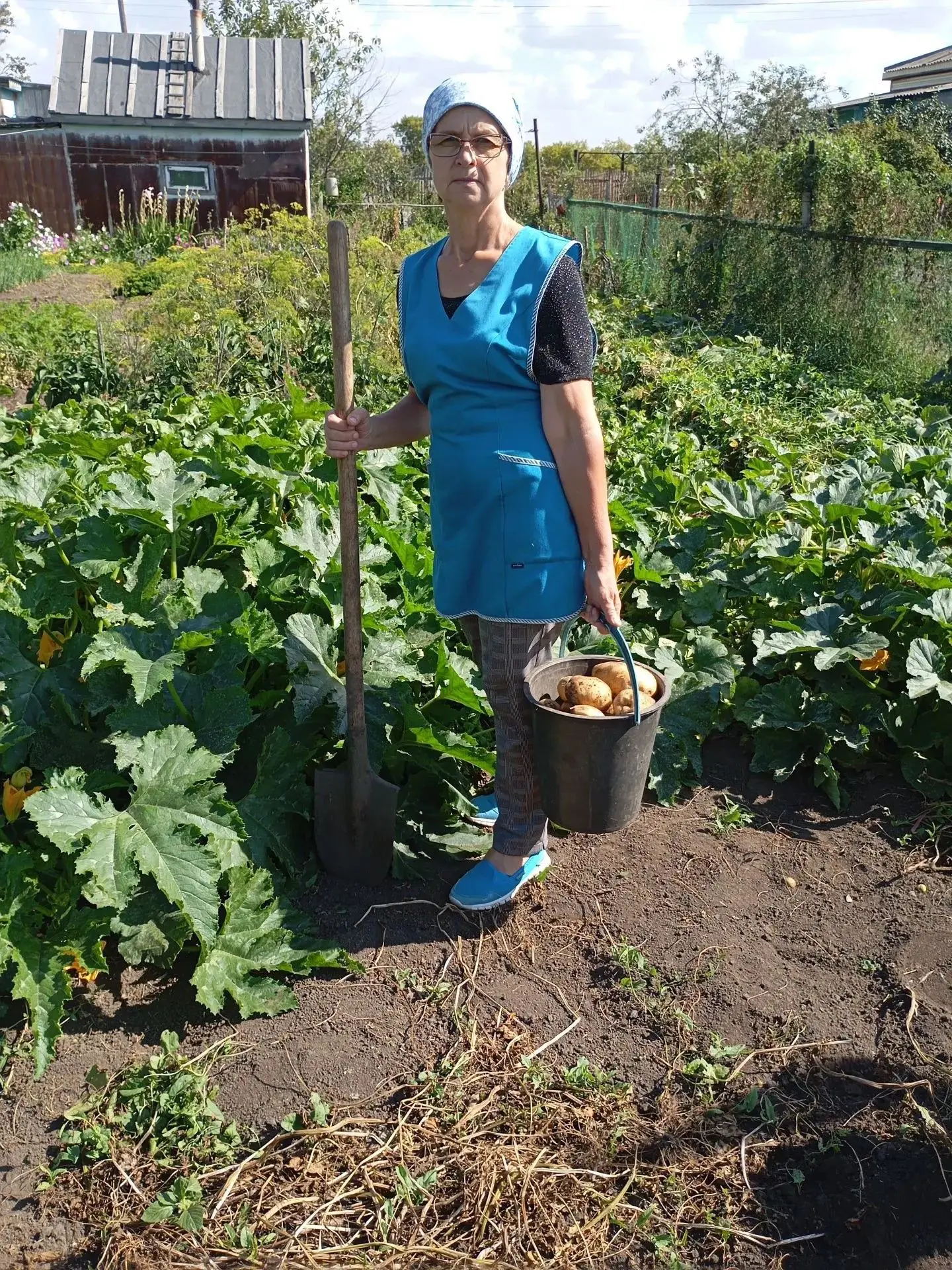 🥔Наступил сезон сбора урожая картофеля!