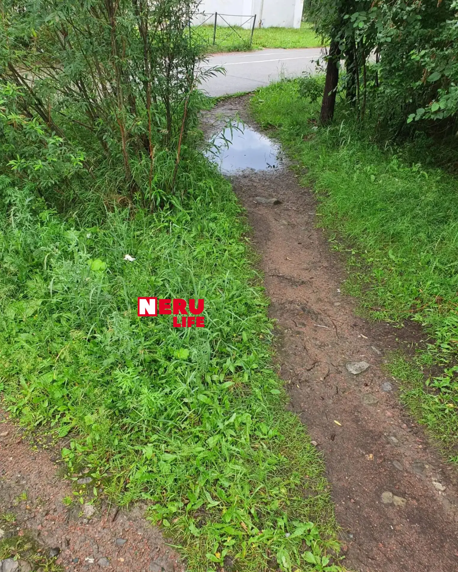 Лужу ты не обойдешь,хоть в 3 разных стороны пойдешь!