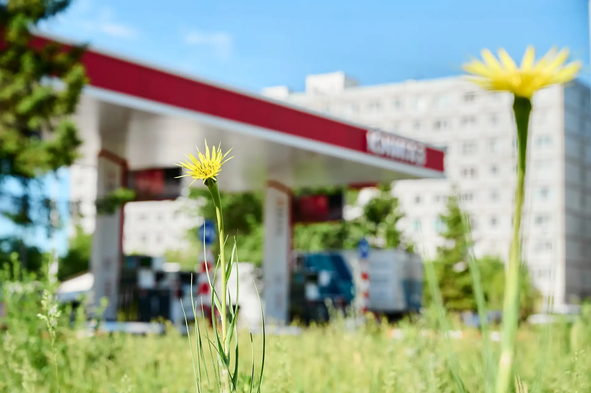 ⛽ Обновляем информацию о текущей ситуации с наличием топлива по состоянию на 10:00 27 и...