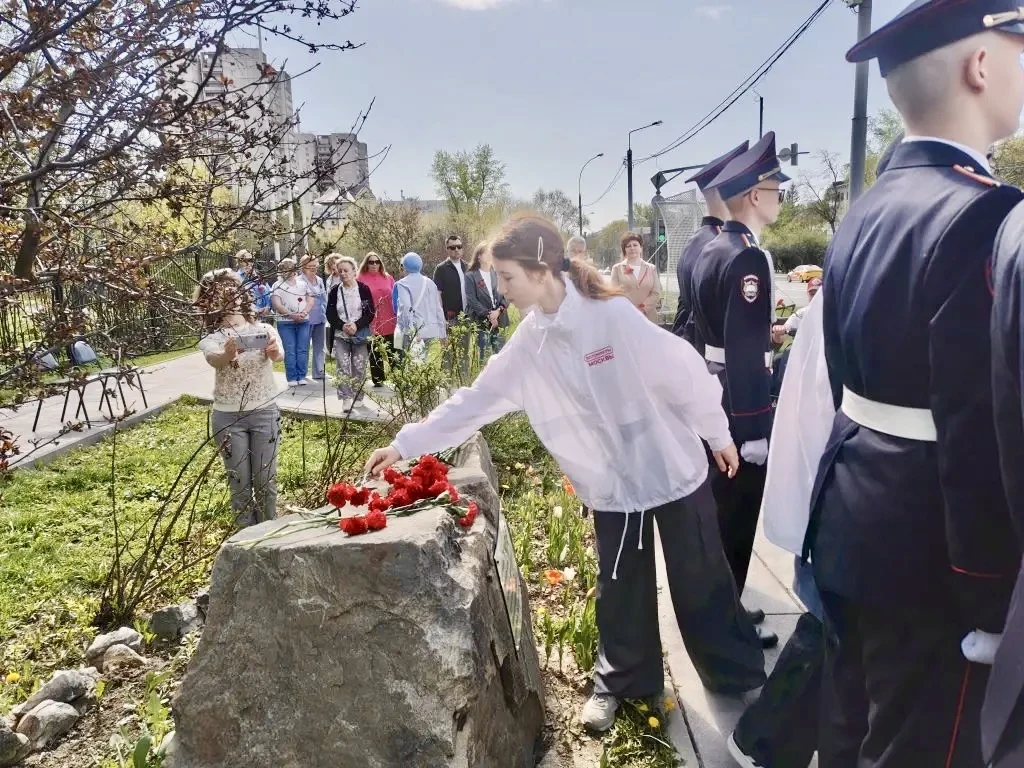 Красная гвоздика  Знак памяти о героях Великой Отечественной войны, символ уважения и преклонения пе