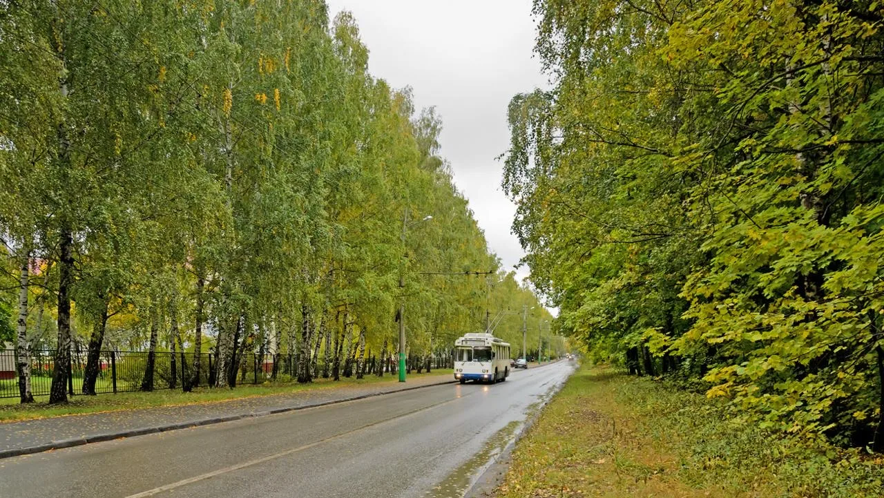 Западная Поляна. Как это было…