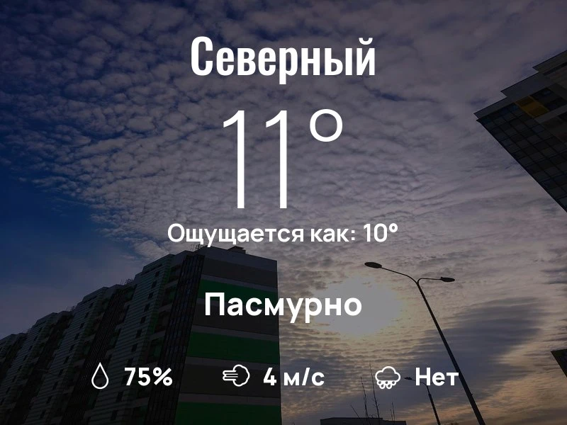 Что с погодой в Северном?