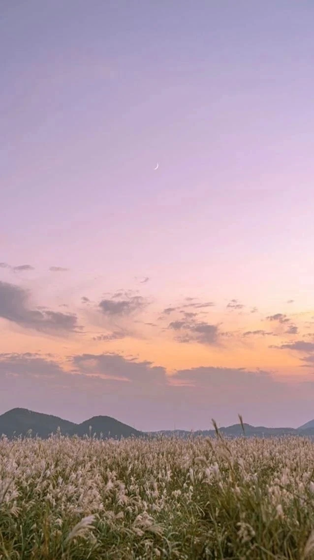 @oboi_wallpaper_kpop