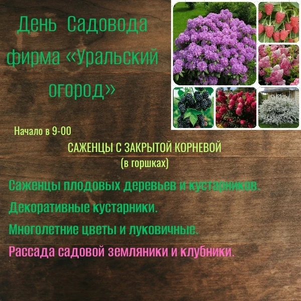 ❗❗❗ Внимание жители и гости г. Сургут!

📅 23 и 24 Июня

📍 ТЦ "Северный" ул. Дзержинского, 24

⏰ На