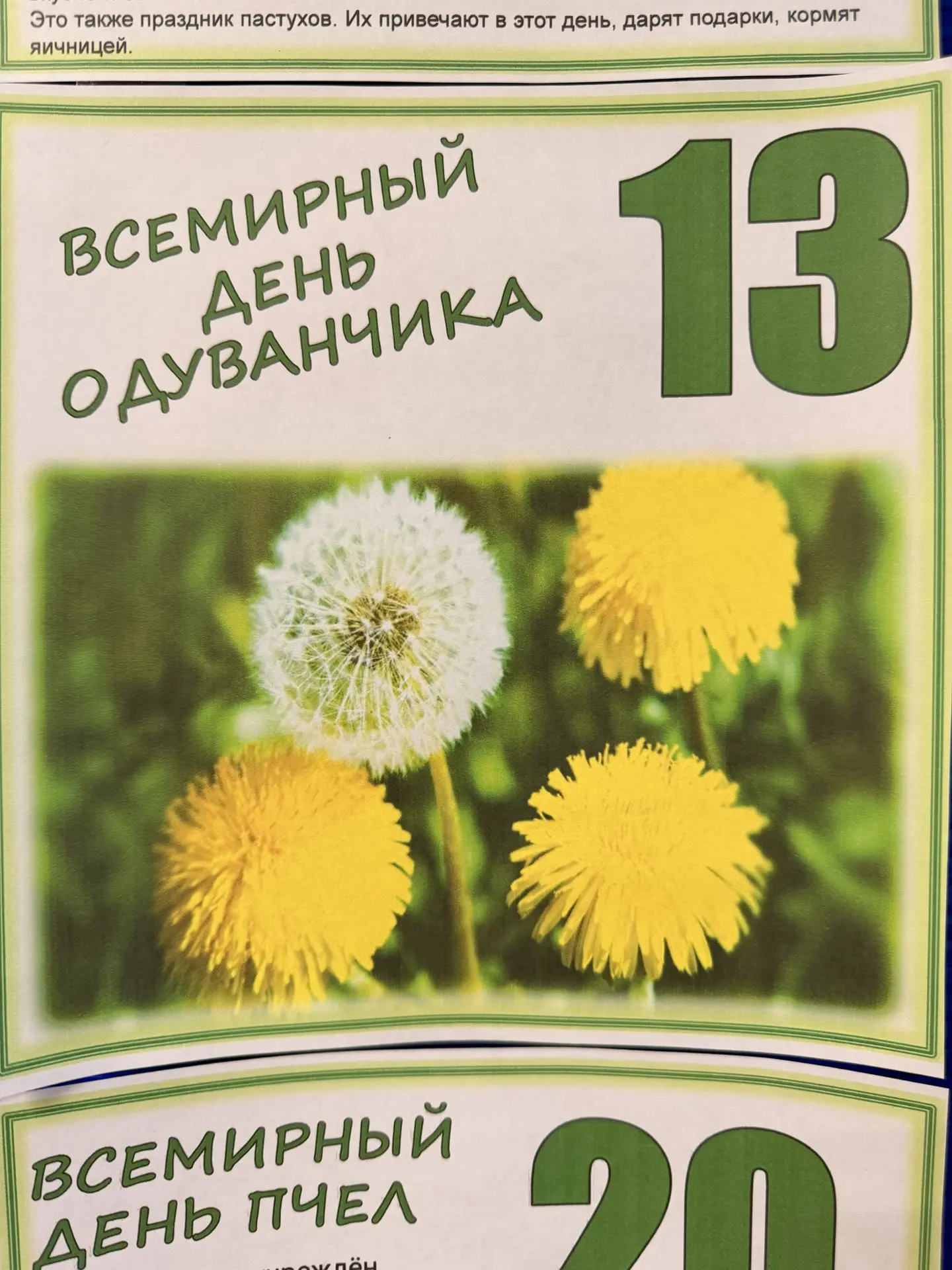 🌼 13 мая — Всемирный день одуванчика! ☀️