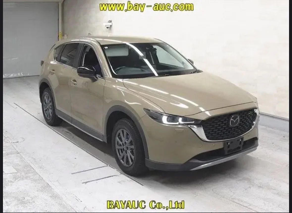 🔑 КУПИЛИ КЛИЕНТУ АВТОМОБИЛЬ С ДОСТАВКОЙ В Г. ЮЖНО-САХАЛИНСК

MAZDA CX-5

ГОД: 2022
МОДЕЛЬ: CX-5 4WD