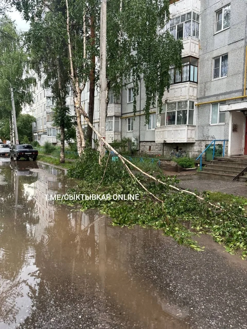 Деревопад на Емвальской, 7

📱 Мы в Телеграм
💜 Мы в MAX