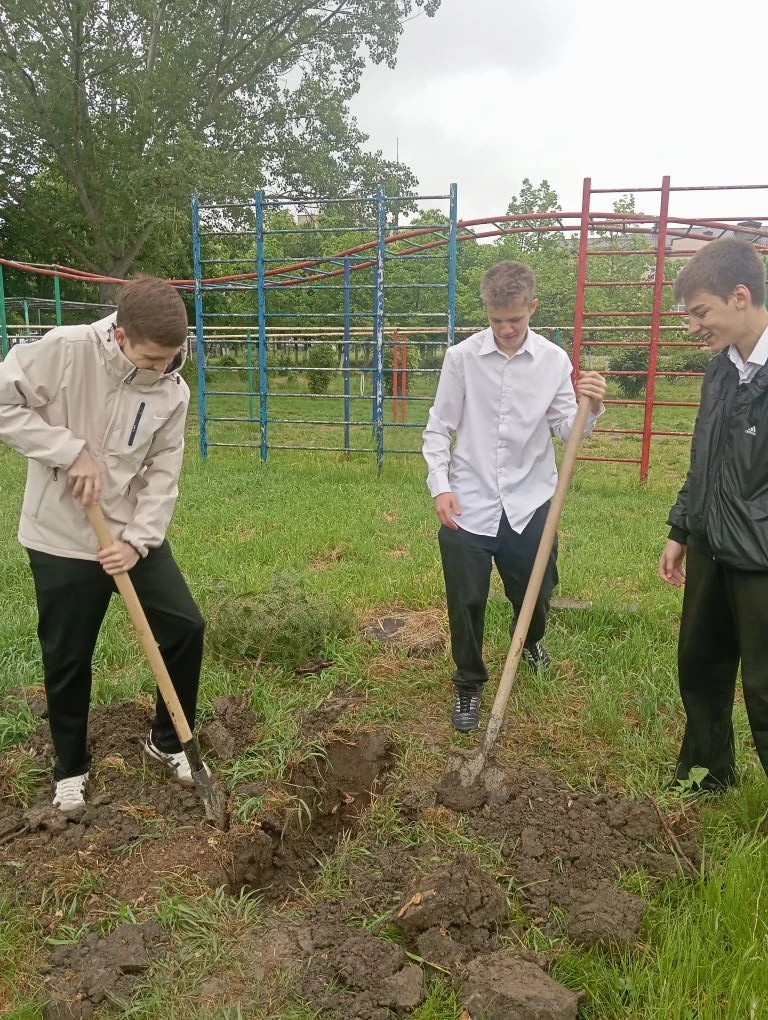 🌳 Продолжая традиции! 🌳  В рамках доброй традиции, выпускники 9"Вл" класса посадили деревья 🌲🌲🌲 на т