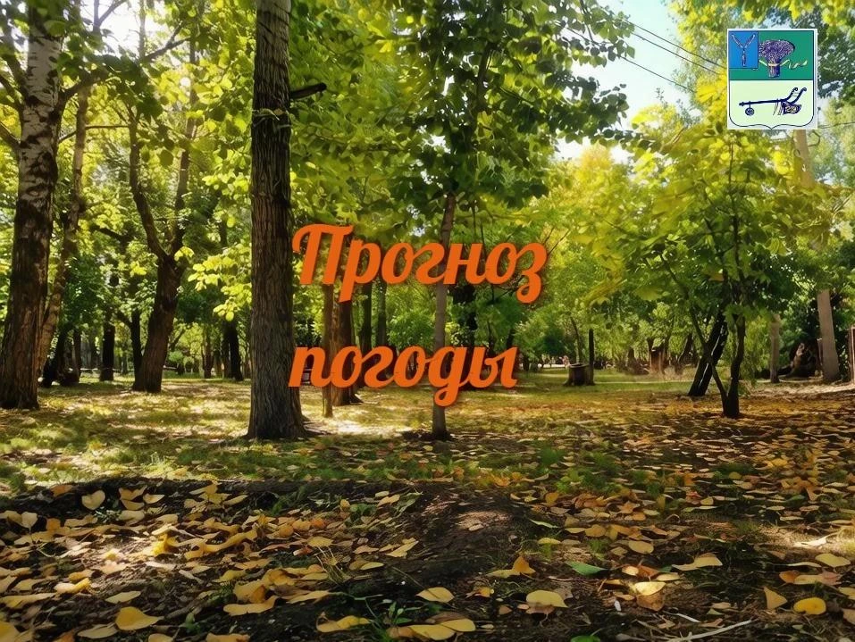 ⚡ Прогноз погоды на 3 октября 2026 года в Саратовской области.