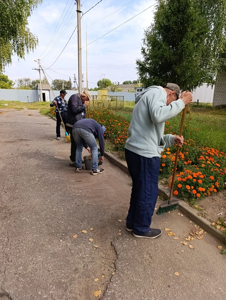 🍂🍁  Листья пока только начинают желтеть и облетать по чуть – чуть, покрывая землю зол...