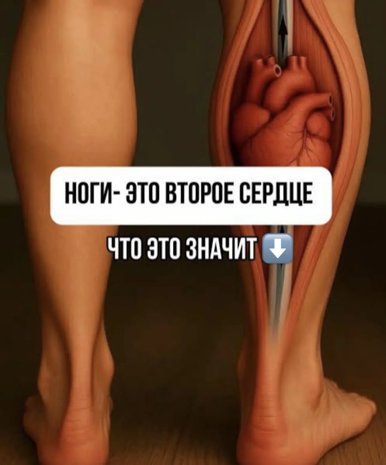 «Второе сердце», о котором вы не знали