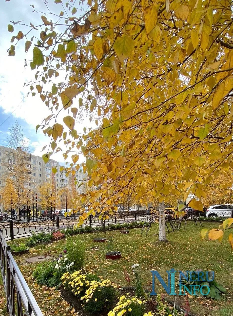 Прекрасных выходных 💙