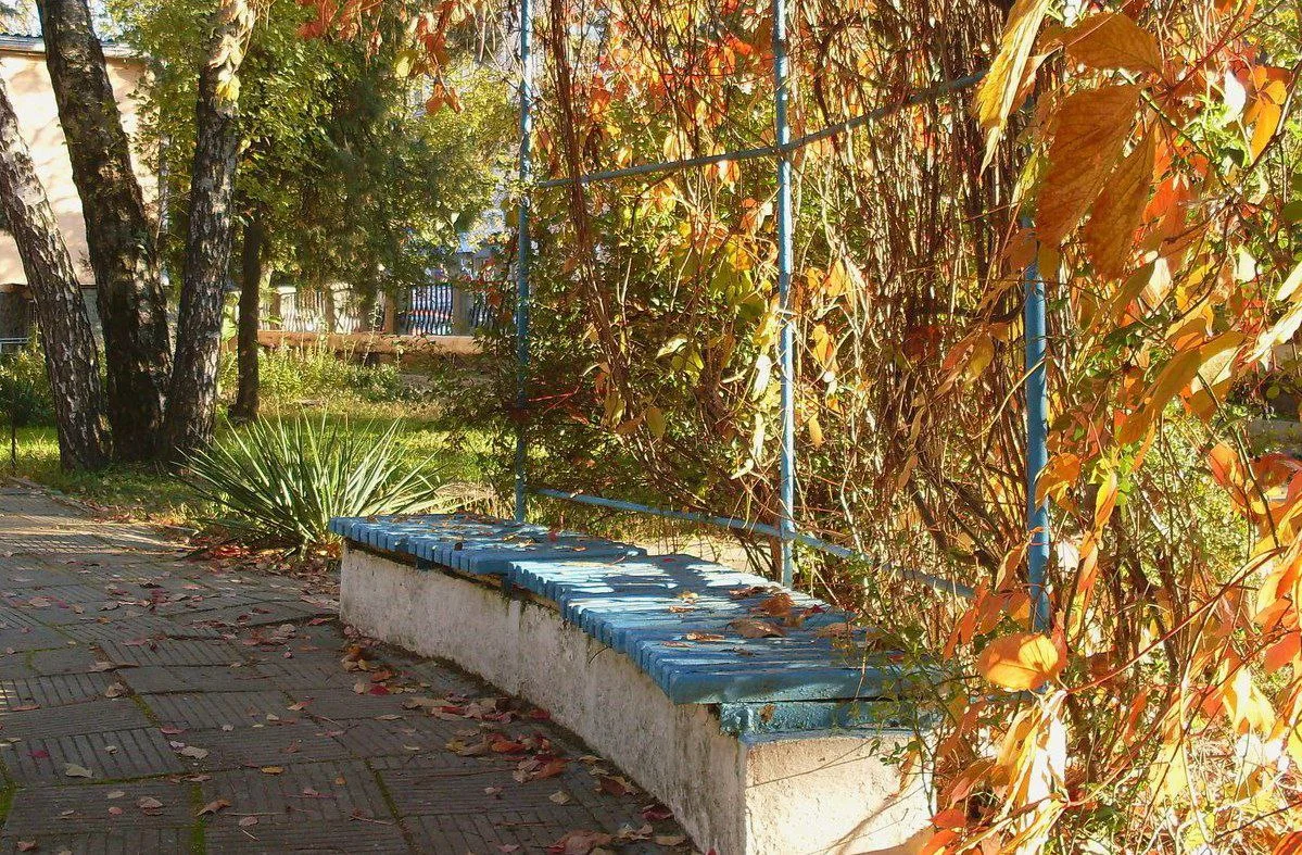 🟪 Пожалуйста!

В слове "пожалуйста" слились два других слова.
Первое - "пожалуй".

Раньше слово "по