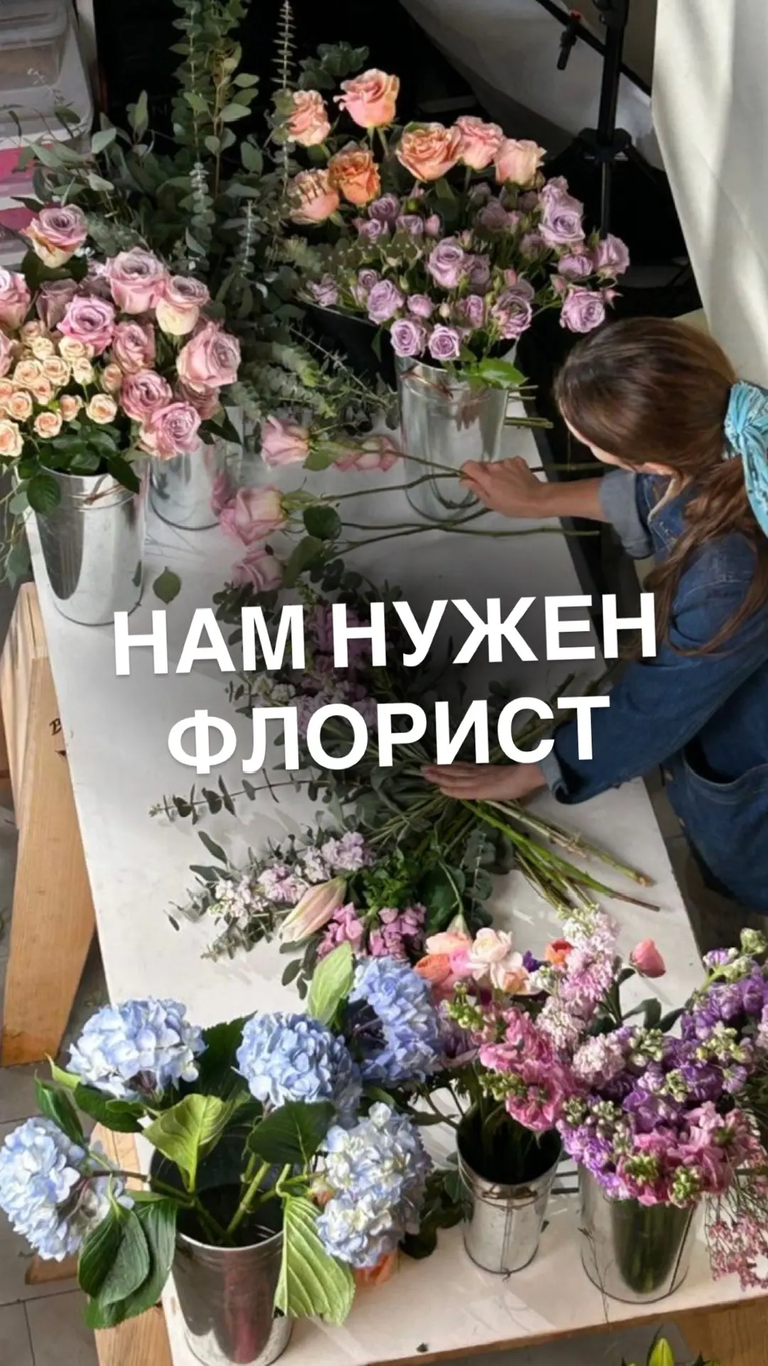 🌸 «Флориссима» ищет того, кто умеет влюблять в цветы одним кадром

Мы ждём молодого, амбициозного т