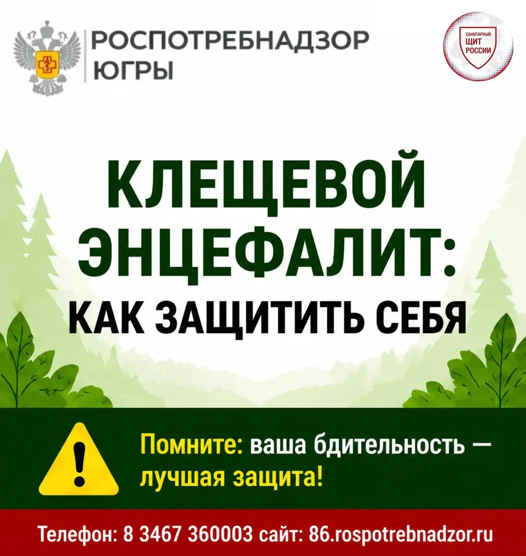 📍 Клещ на теле? Без паники! Вот что делать   В Югре сезон активности клещей в самом разгаре. Если не