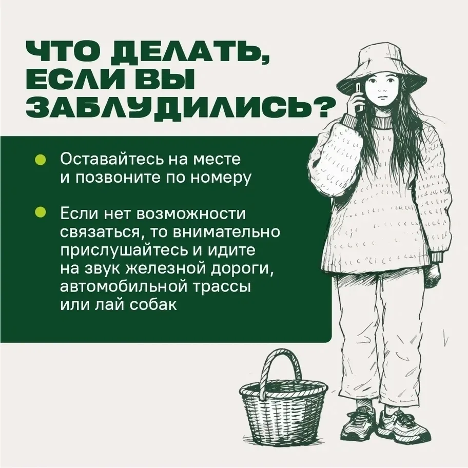 🌳 Тёплые выходные — повод сходить в лес за грибами, но перед этим важно вспомнить прос...