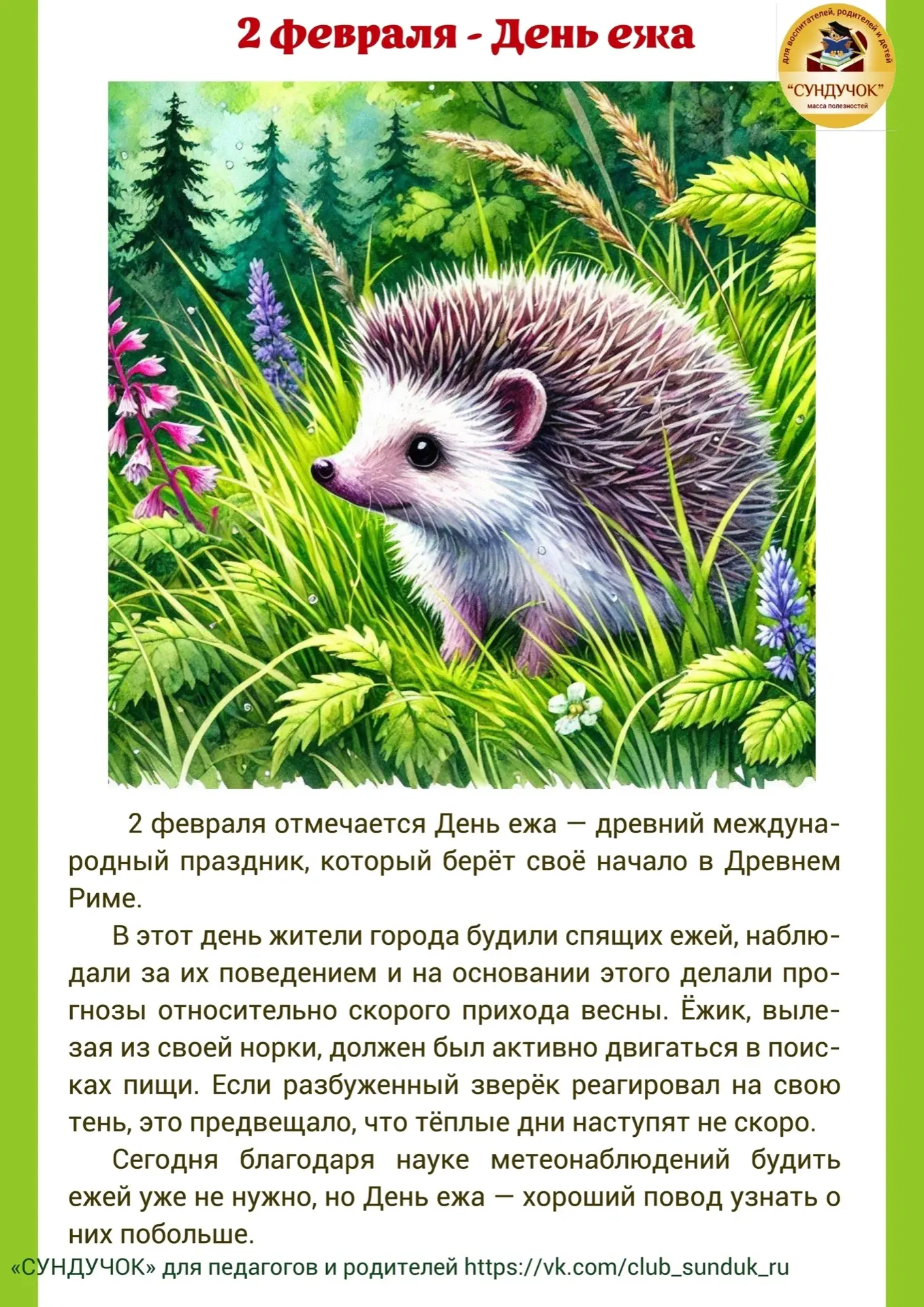 Медиа публикации