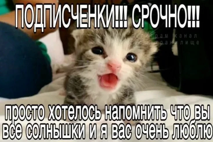 СРОЧНО!!!
