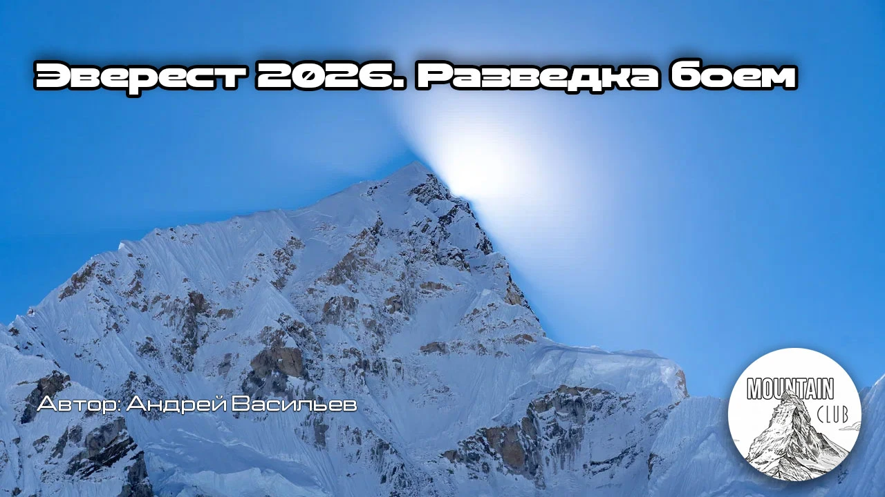 Андрей Васильев: