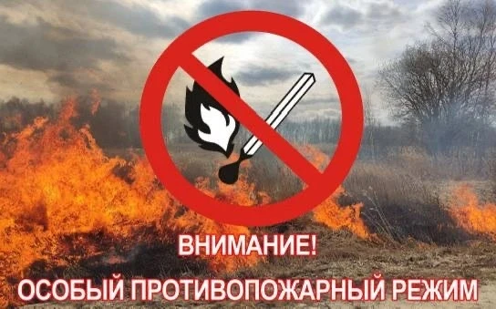 Особый противопожарный режим в Томской области продлен до 30 июня.