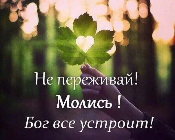 Не превращай свою книгу жизни в жалобную! Слава Богу за всё!