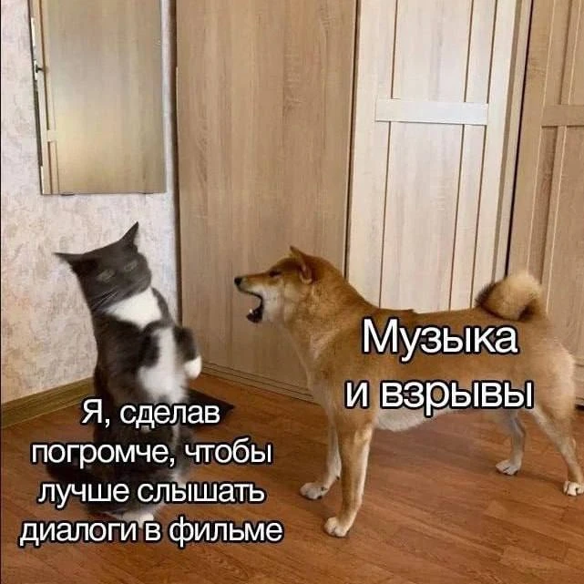 Мемы каждый день • Подписаться